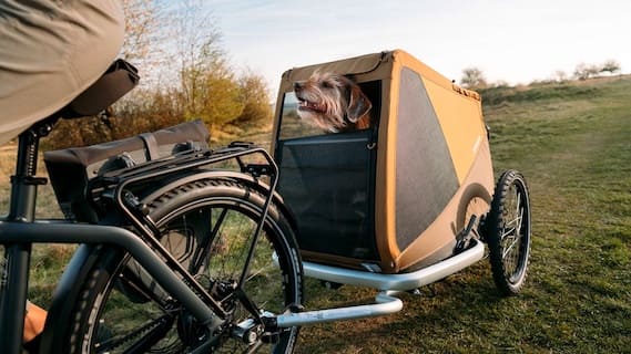 Hundefahrradanhänger